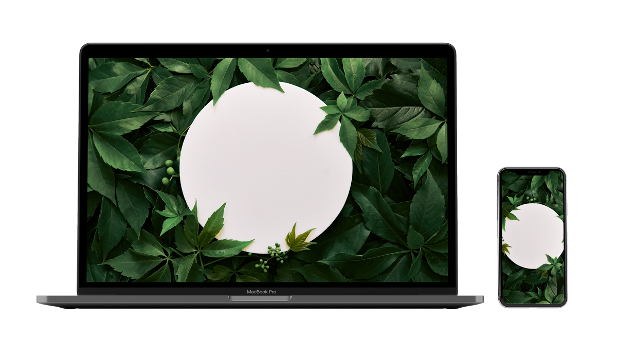 Mockup-Recovered